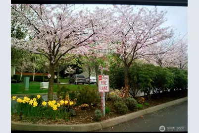 538 241st Lane SE, Sammamish, WA 98074 - Photo 8