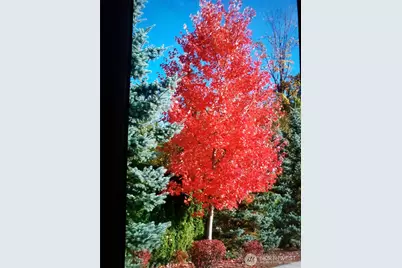 538 241st Lane SE, Sammamish, WA 98074 - Photo 28