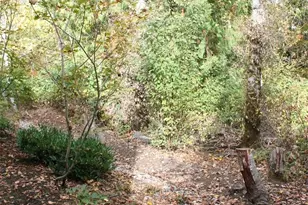 538 241st Ln SE, Sammamish, WA 98074 - Photo 6