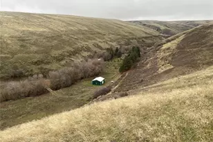 60 Pataha Canyon, Pomeroy, WA 99347 - Photo 2