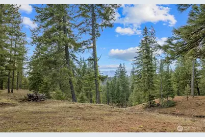 17 Wanawish Loop, Cle Elum, WA 98922 - Photo 4