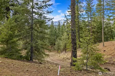 17 Wanawish Loop, Cle Elum, WA 98922 - Photo 6
