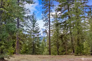 17 Wanawish Loop, Cle Elum, WA 98922 - Photo 1