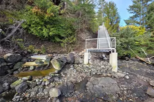 81 Wawa Point Pl, Brinnon, WA 98320 - Photo 6