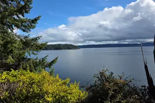 81 Wawa Point Pl, Brinnon, WA 98320 - Photo 4