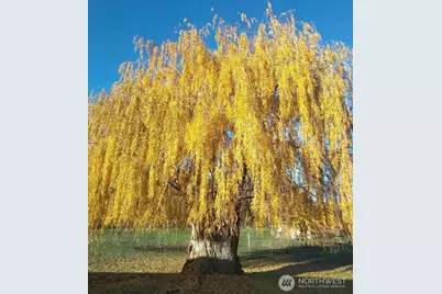 6 Jennings Loop Road, Oroville, WA 98844 - Photo 24