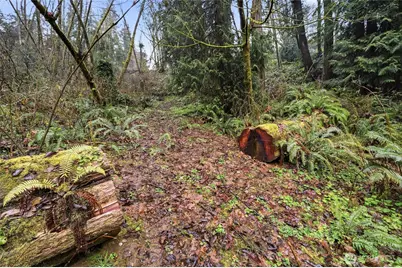 6830 Norma Beach Road, Edmonds, WA 98026 - Photo 26