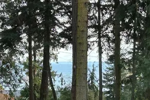 10278 NE Shore Dr, Indianola, WA 98342 - Photo 10