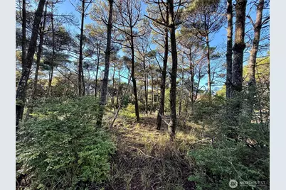 1 Xx Strand Street, Westport, WA 98595 - Photo 32