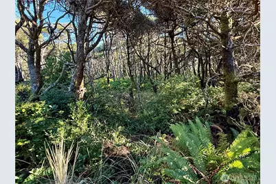 1 Xx Strand Street, Westport, WA 98595 - Photo 28