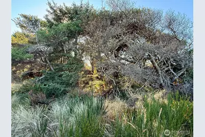 1 Xx Strand Street, Westport, WA 98595 - Photo 30