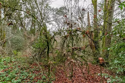 12613 35th Avenue S, Tukwila, WA 98168 - Photo 14