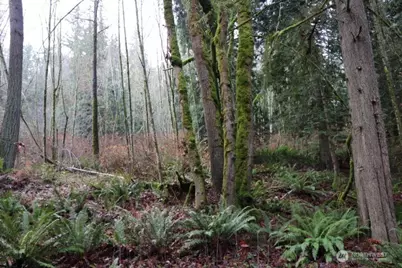 18700 SE 64th Way, Issaquah, WA 98027 - Photo 8