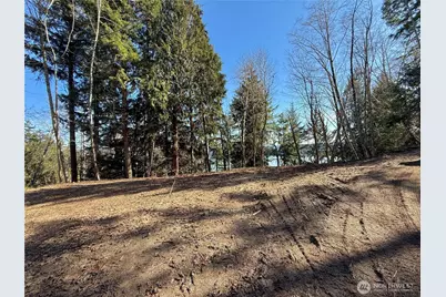 61 Devereaux Drive, Lilliwaup, WA 98555 - Photo 26