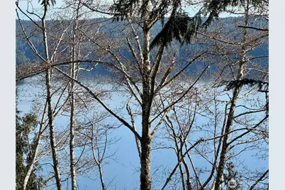 61 Devereaux Drive, Lilliwaup, WA 98555 - Photo 24