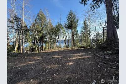 63 Devereaux Drive, Lilliwaup, WA 98555 - Photo 26