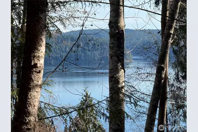 63 Devereaux Drive, Lilliwaup, WA 98555 - Photo 10