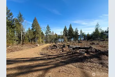 63 Devereaux Drive, Lilliwaup, WA 98555 - Photo 16