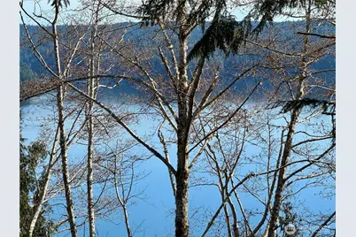 63 Devereaux Drive, Lilliwaup, WA 98555 - Photo 14