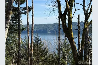 63 Devereaux Drive, Lilliwaup, WA 98555 - Photo 2