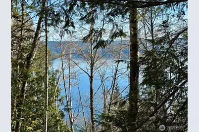 63 Devereaux Drive, Lilliwaup, WA 98555 - Photo 34