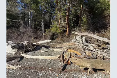 63 Devereaux Drive, Lilliwaup, WA 98555 - Photo 24