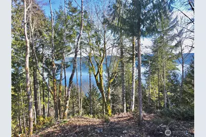 63 Devereaux Drive, Lilliwaup, WA 98555 - Photo 4