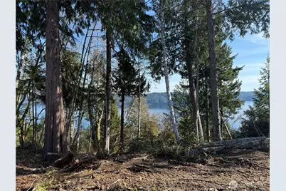 65 Devereaux Drive, Lilliwaup, WA 98555 - Photo 32