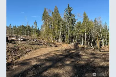 65 Devereaux Drive, Lilliwaup, WA 98555 - Photo 30