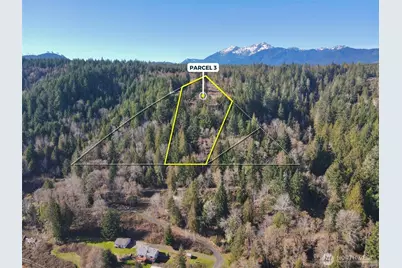 65 Devereaux Drive, Lilliwaup, WA 98555 - Photo 10