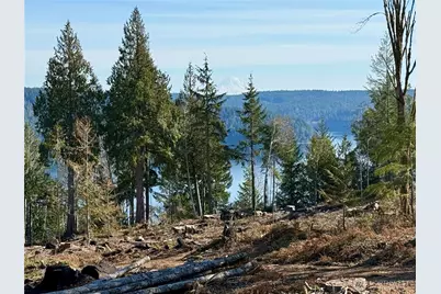 65 Devereaux Drive, Lilliwaup, WA 98555 - Photo 8