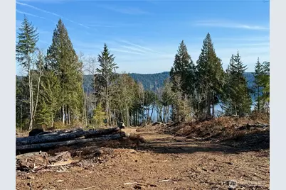 65 Devereaux Drive, Lilliwaup, WA 98555 - Photo 22