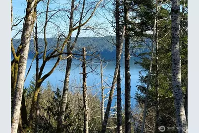 65 Devereaux Drive, Lilliwaup, WA 98555 - Photo 38