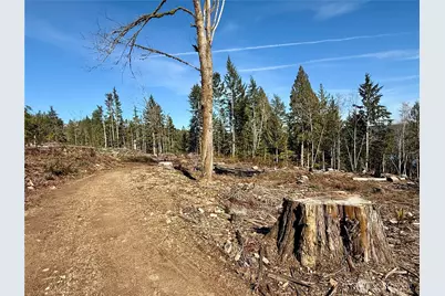 67 Devereaux Drive, Lilliwaup, WA 98555 - Photo 34