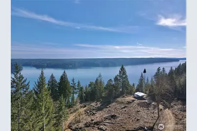 67 Devereaux Drive, Lilliwaup, WA 98555 - Photo 8