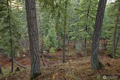 14 Farmhouse Way, Cle Elum, WA 98922 - Photo 12