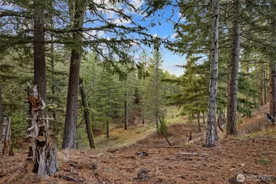 14 Farmhouse Way, Cle Elum, WA 98922 - Photo 14