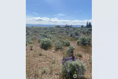 1160 Lester Road, Ellensburg, WA 98926 - Photo 6