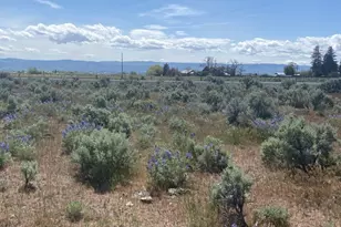 1160 Lester Rd, Ellensburg, WA 98926 - Photo 6