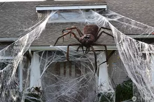 2520 Locust Ave W, University Place, WA 98466 - Photo 4