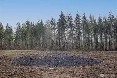 0 Lot 4 Larson Road, McCleary, WA 98557 - Photo 24