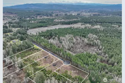 0 Lot 4 Larson Road, McCleary, WA 98557 - Photo 1