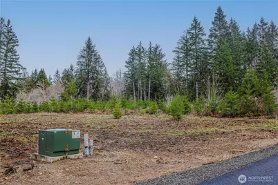 0 Lot 4 Larson Road, McCleary, WA 98557 - Photo 18