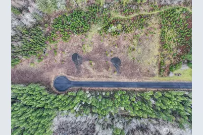 0 Lot 4 Larson Road, McCleary, WA 98557 - Photo 2