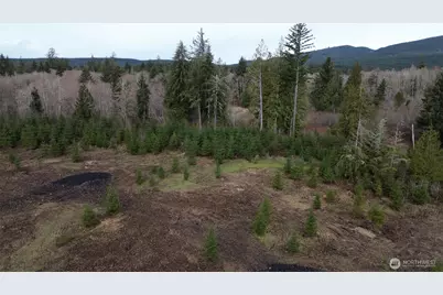0 Lot 4 Larson Road, McCleary, WA 98557 - Photo 6
