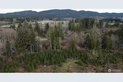 0 Lot 4 Larson Road, McCleary, WA 98557 - Photo 4