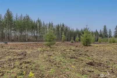 0 Lot 5 Larson Road, McCleary, WA 98557 - Photo 16