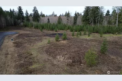 0 Lot 5 Larson Road, McCleary, WA 98557 - Photo 8