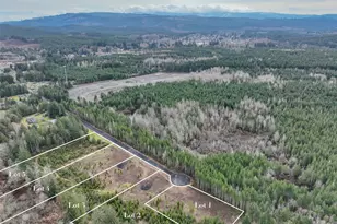 0 Larson Rd Lot 5, McCleary, WA 98557 - Photo 1