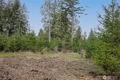 0 Lot 5 Larson Road, McCleary, WA 98557 - Photo 22